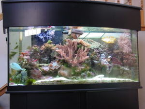 80gfishietank005.jpg